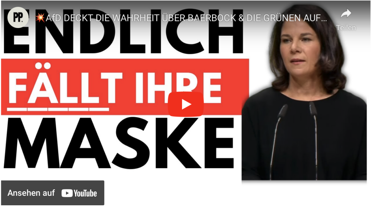 AfD DECKT DIE WAHRHEIT ÜBER BAERBOCK & DIE GRÜNEN AUF!