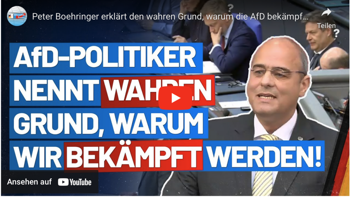 Peter Boehringer erklärt den wahren Grund, warum die AfD bekämpft wird! AfD-Fraktion im Bundestag