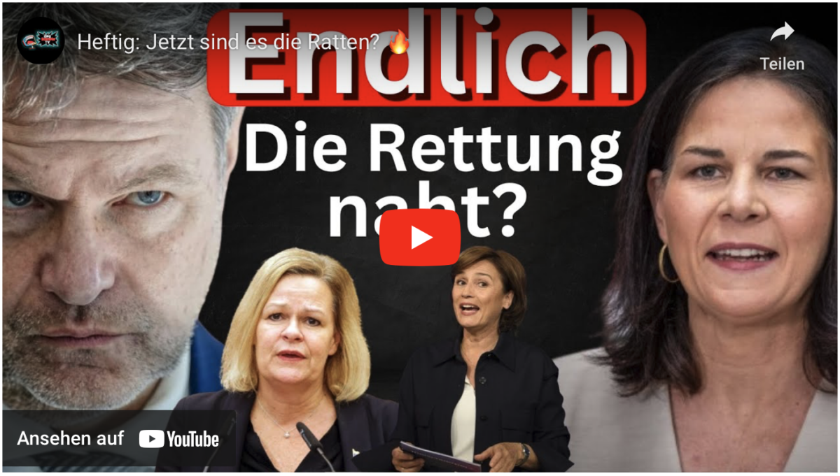 Heftig: Jetzt sind es die Ratten?