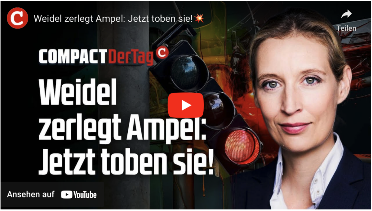 Weidel zerlegt Ampel: Jetzt toben sie!