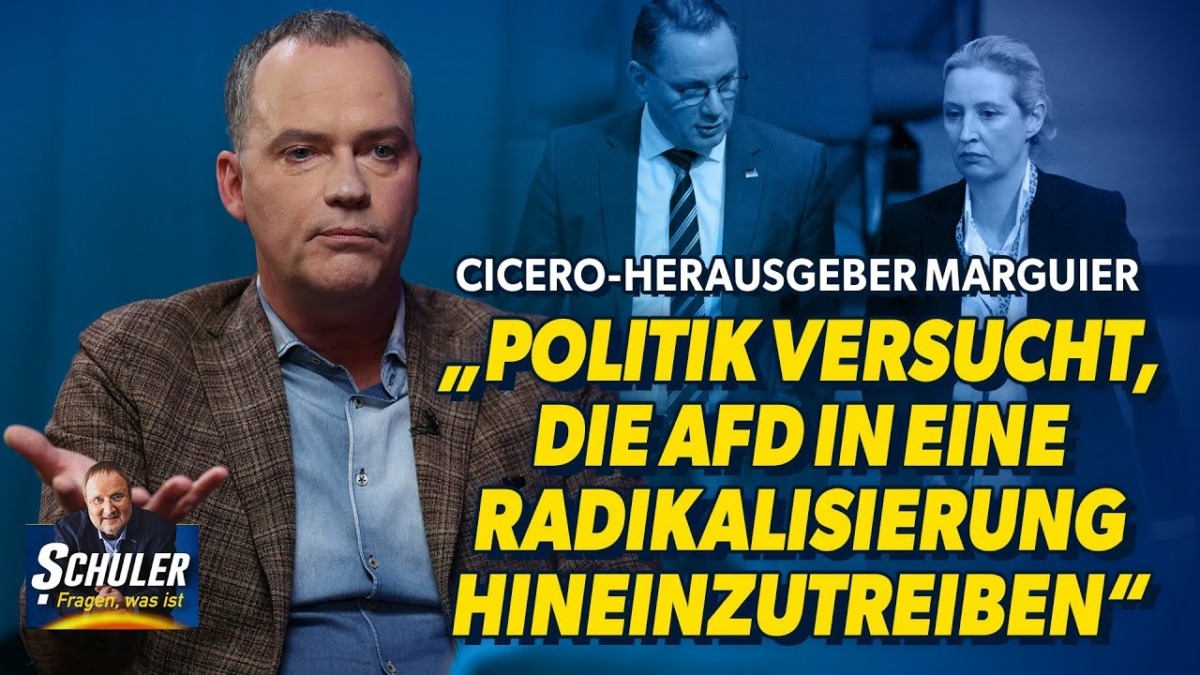Cicero-Herausgeber: „AfD fordert am Ende dasselbe wie der Kanzler“!