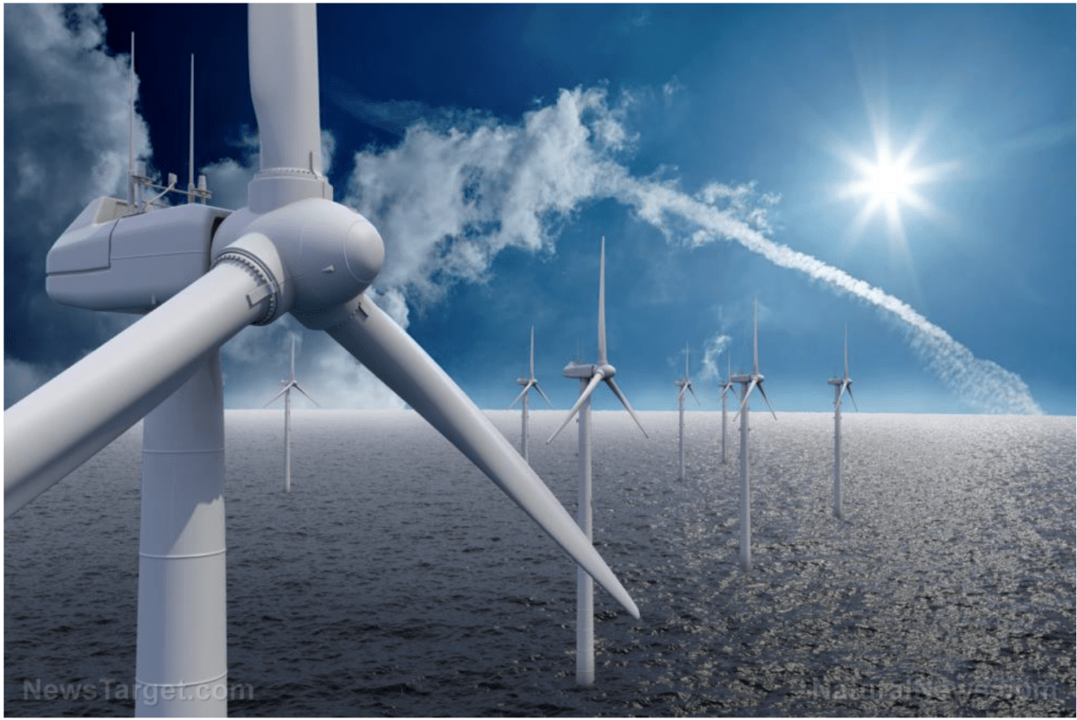 Lärmbelästigung durch Offshore-Windkraftanlagen könnte zur AUSLÖSCHUNG VON WALEN führen