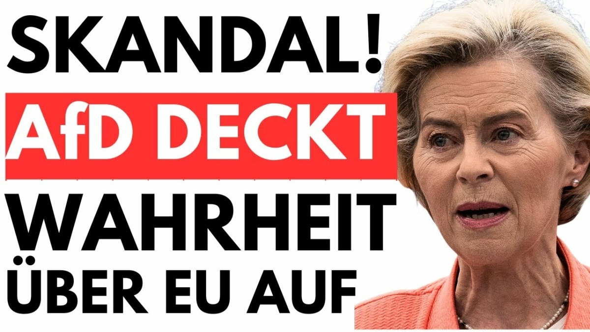 UNFASSBAR! AfD DECKT WAHRHEIT ÜBER EU AUF!
