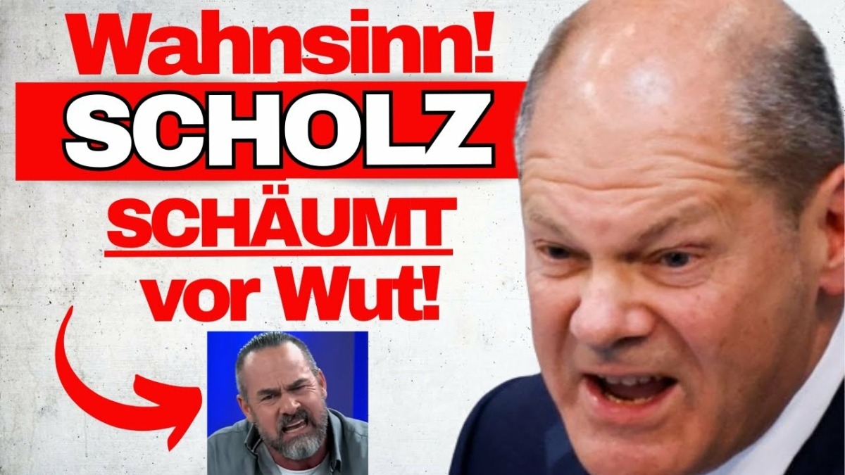 EKLAT: Carsten Stahl zerreißt Politik in 3 min. FDP SPRACHLOS
