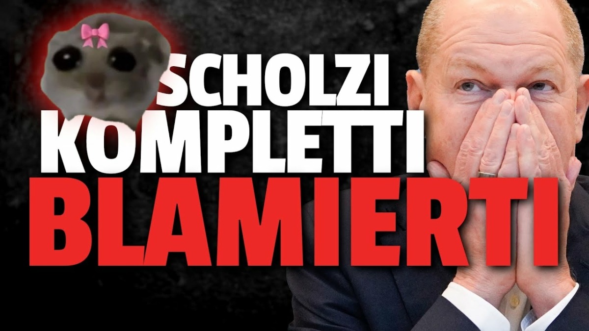 Finanzamt und Scholz BLAMIEREN sich auf TikTok!