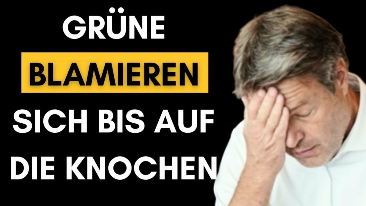 Grüner weiß nicht, was Inflation ist, ABER sitzt im EU-Ausschuss für Industrie!