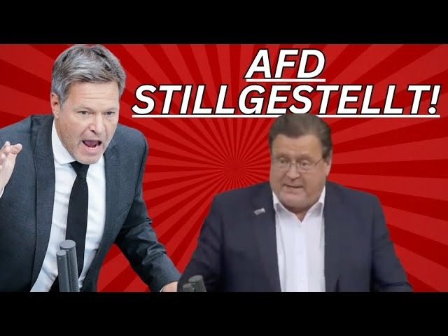 Habeck rastet völlig aus nach dieser Afd-Rede. Stephan Brandner zerstört Regierung!