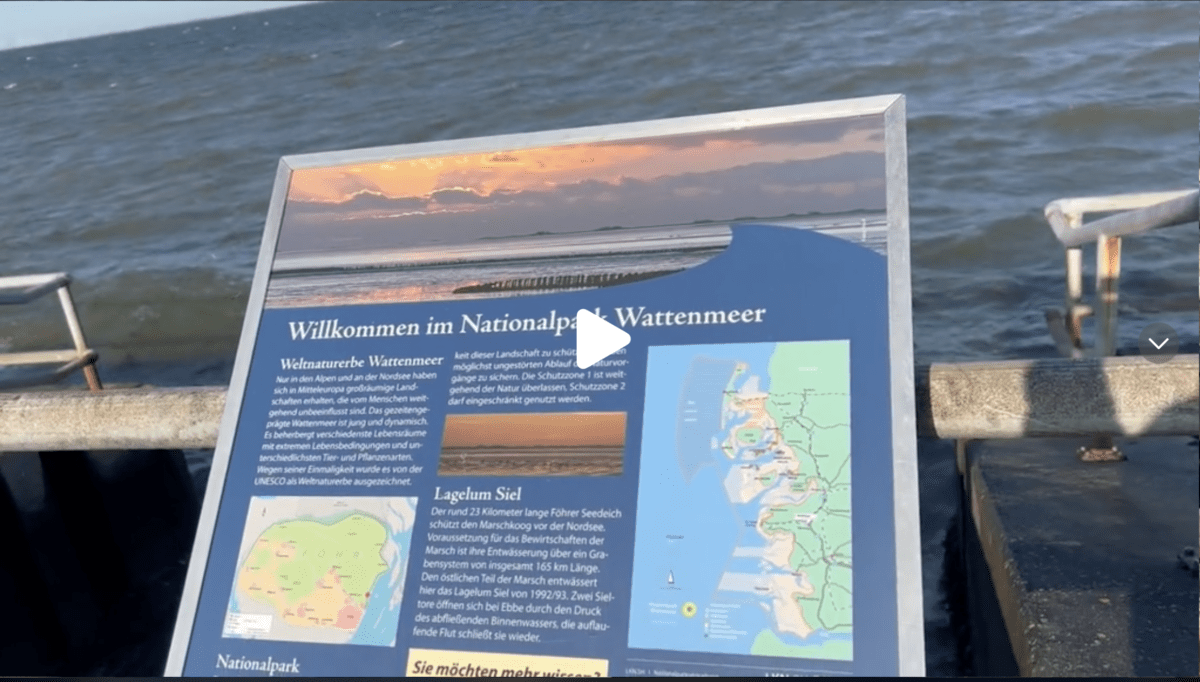 So sieht das Weltkulturerbe Wattenmeer von der Insel Föhr aus nachdem Habeck in diesem Land Schleswig-Holstein Umweltminister war! #Habeck #Nordsee #Skandal #Politik