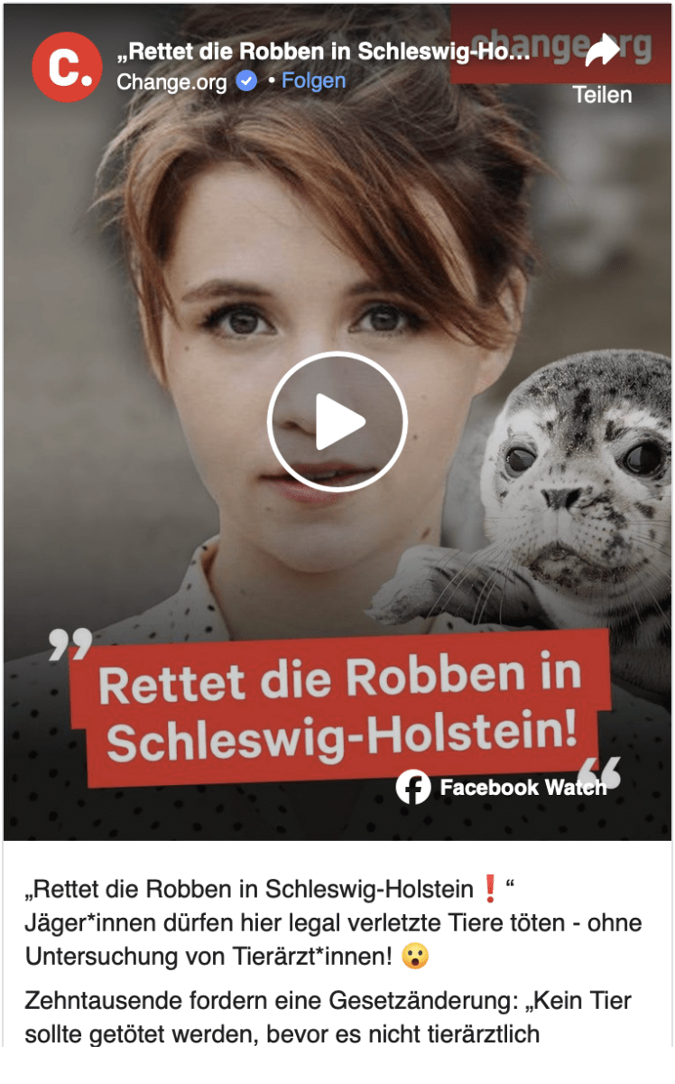Rettet die Robben in Schleswig-Holstein!