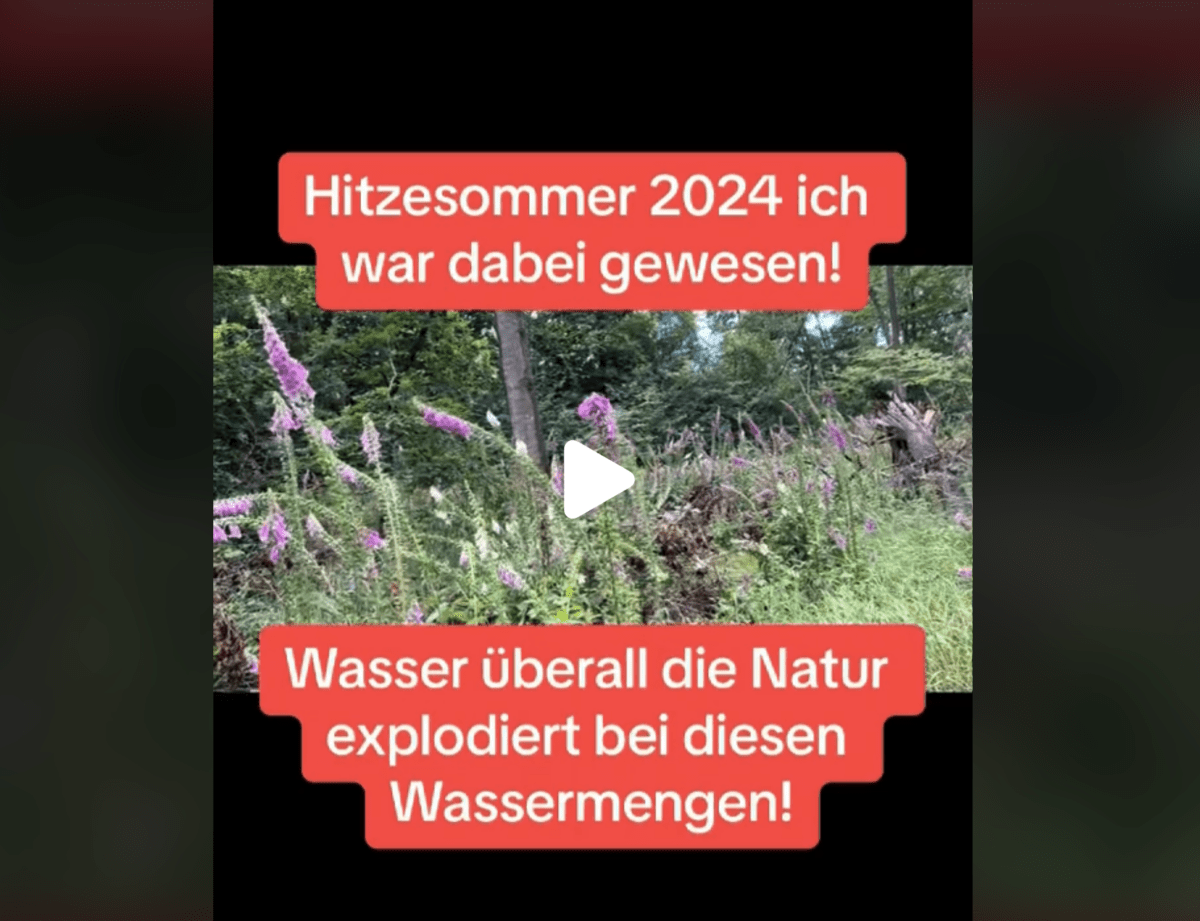 Hitzesommer 2024 ich war dabei gewesen! Regen, kälte und die Politik schweigt zur angeblichen Klimaerwärmung!