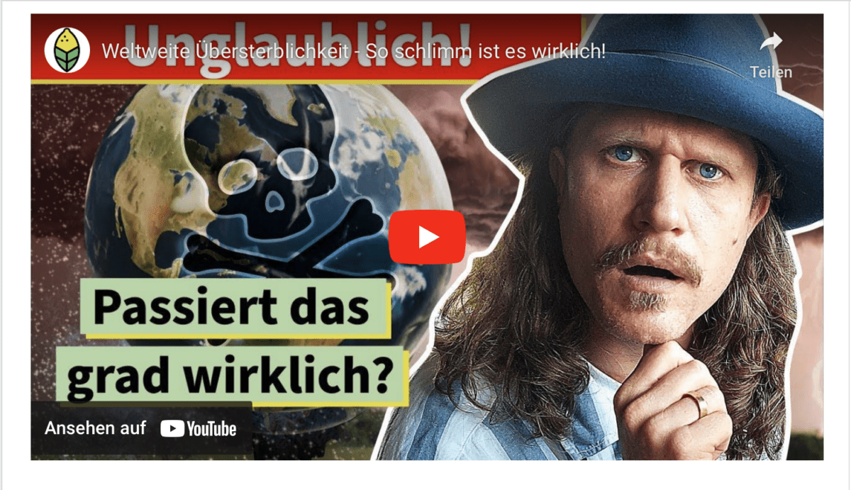 Weltweite Übersterblichkeit – So schlimm ist es wirklich!