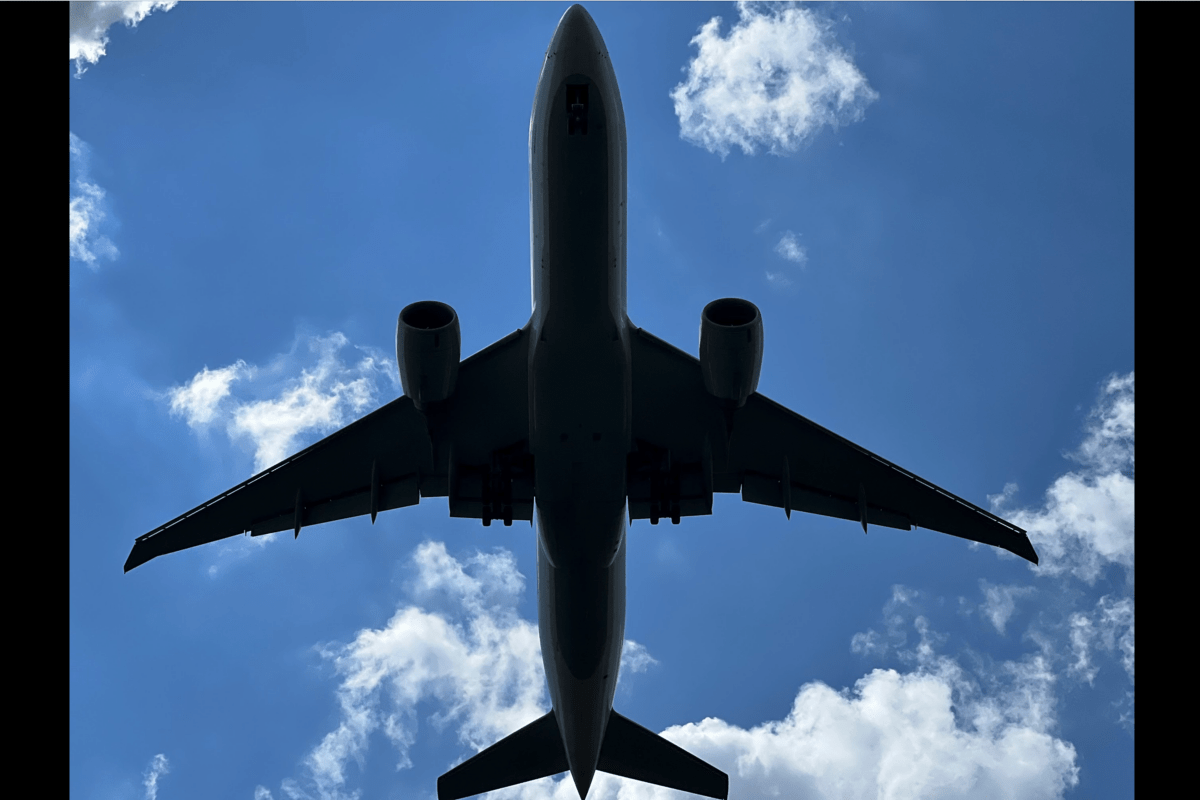 AfD will in Sachsen-Anhalt allein regieren: Sie plant Abschiebe-Flughafen und kostenfreie Kitas!