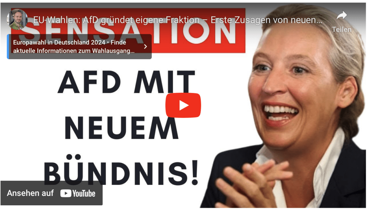 EU-Wahlen: AfD gründet eigene Fraktion – Erste Zusagen von neuen Partnern!