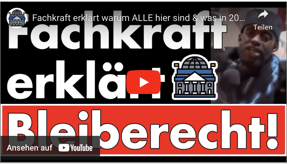 Fachkraft erklärt warum ALLE hier sind & was in 20 Jahren aus Deutschen wird!