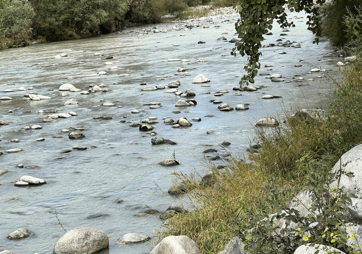 Straubing: Menschliche Überreste in Donau gefunden