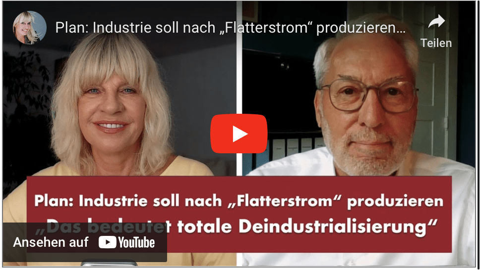 Plan: Industrie soll nach „Flatterstrom“ produzieren – Punkt.PRERADOVIC mit Prof. Fritz Vahrenholt