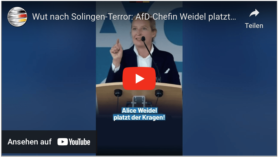 Wut nach Solingen-Terror: AfD-Chefin Weidel platzt der Kragen!