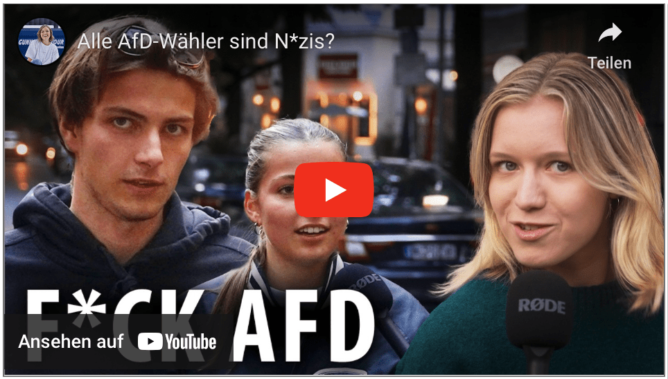 Alle AfD-Wähler sind N*zis?