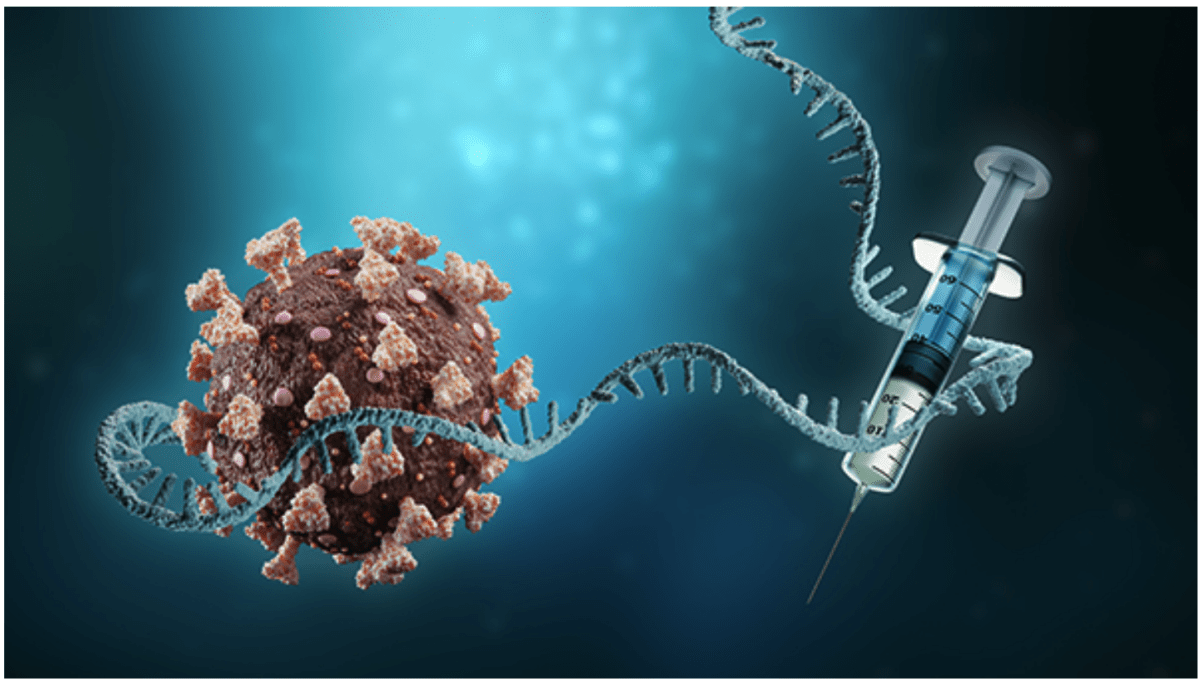 Japan führt selbstverstärkenden mRNA-COVID-19-Impfstoff mit einer negativen Ereignisrate von 90 % ein, und die USA sind die nächsten in der Schlange!