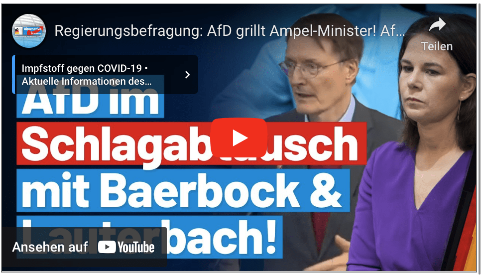 Regierungsbefragung: AfD grillt Ampel-Minister! AfD-Fraktion im Bundestag