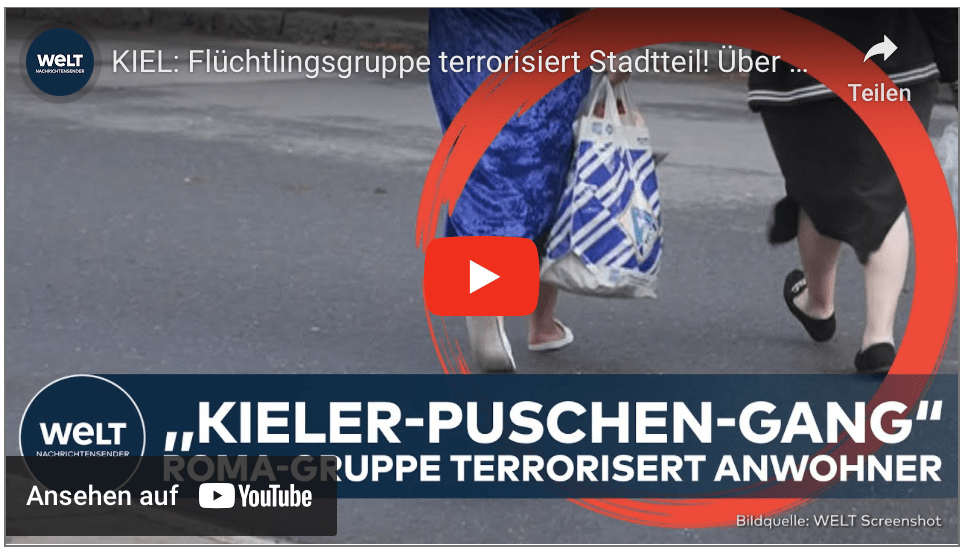 KIEL: Flüchtlingsgruppe terrorisiert Stadtteil! Über 800 Straftaten – Trotzdem keine Abschiebung!