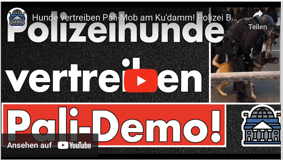 Hunde vertreiben Pali-Mob am Ku’damm! Polizei Berlin überrascht am Samstag! Wann Polizeischweine?