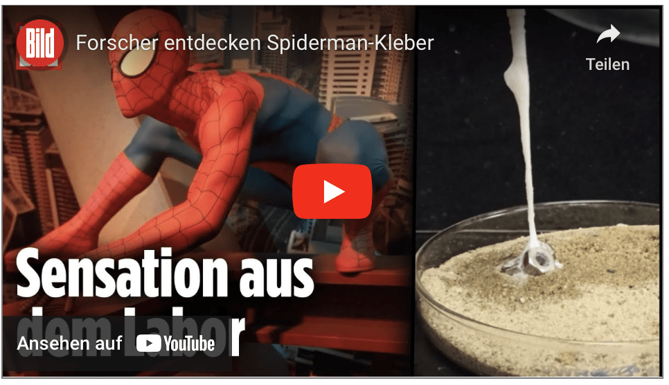 Forscher entdecken Spiderman-Kleber!