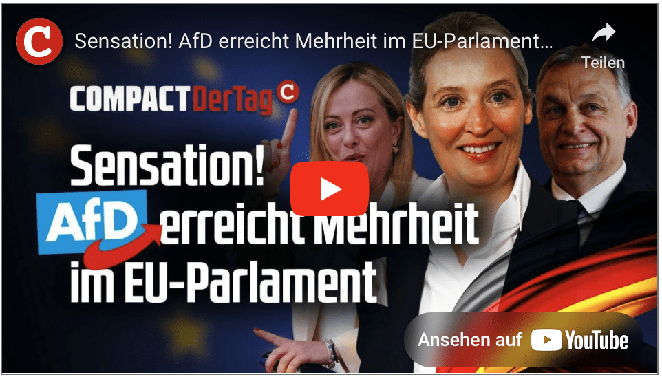 Sensation! AfD erreicht Mehrheit im EU-Parlament