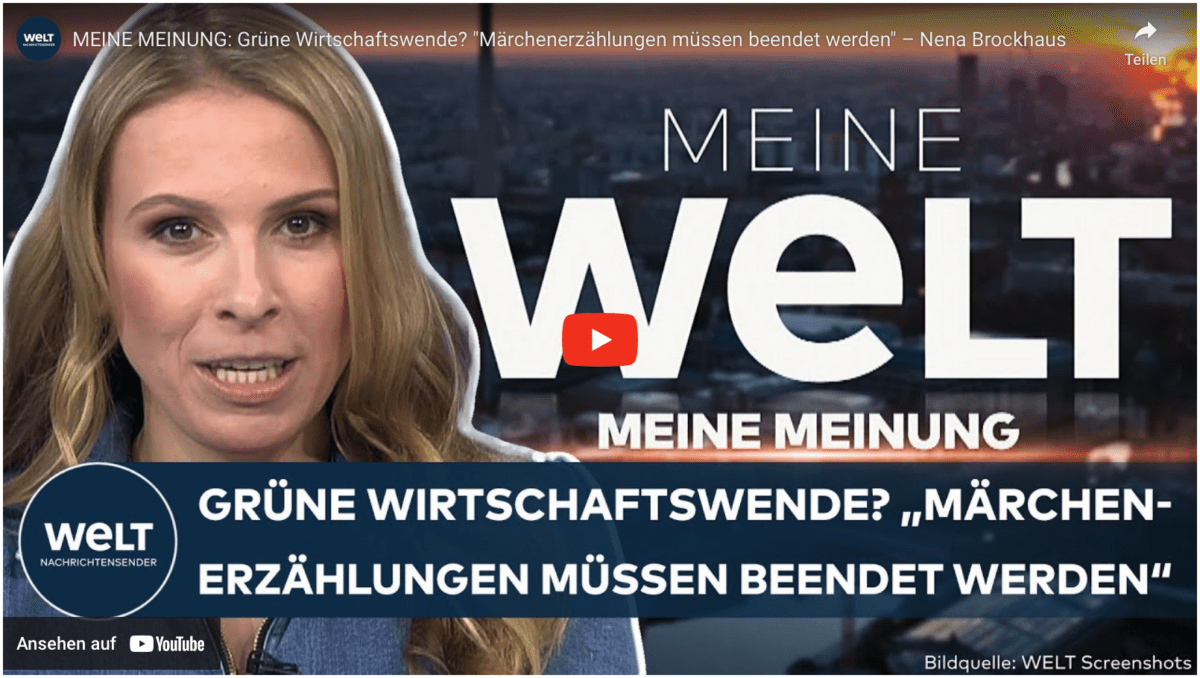 MEINE MEINUNG: Grüne Wirtschaftswende? „Märchenerzählungen müssen beendet werden“ – Nena Brockhaus
