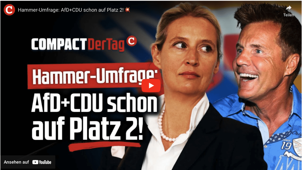 Hammer-Umfrage: AfD+CDU schon auf Platz 2!