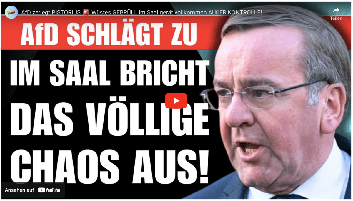 AfD zerlegt PISTORIUS  Wüstes GEBRÜLL im Saal gerät vollkommen AUßER KONTROLLE!