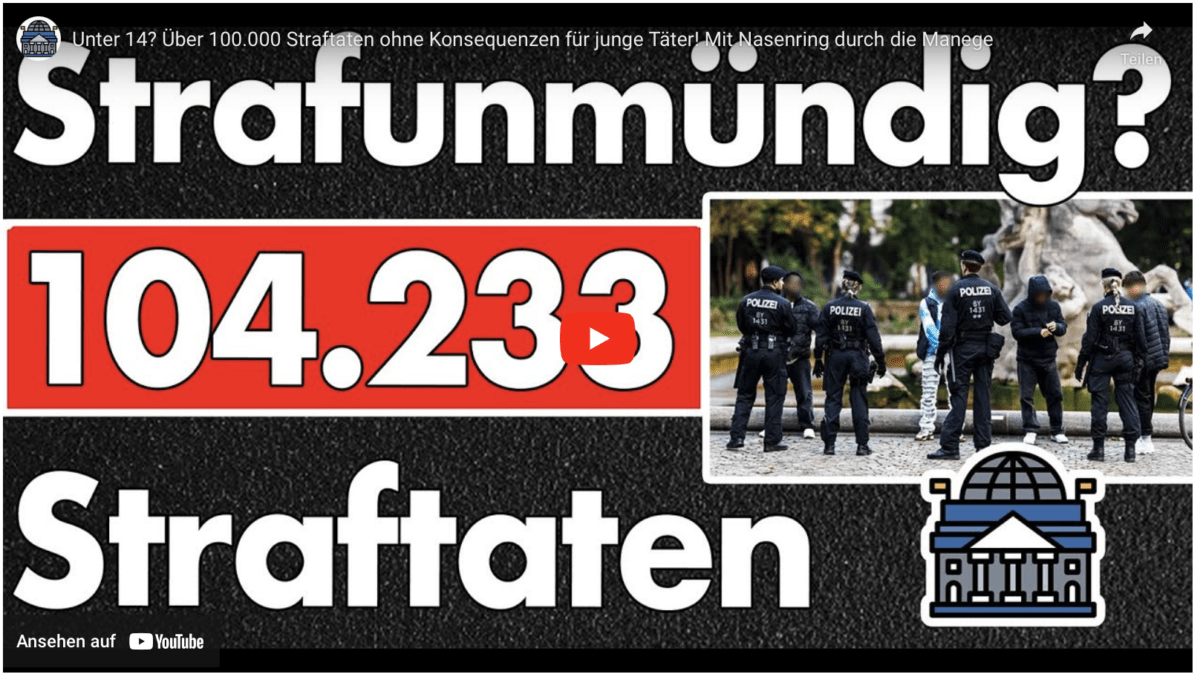 Unter 14? Über 100.000 Straftaten ohne Konsequenzen für junge Täter! Mit Nasenring durch die Manege