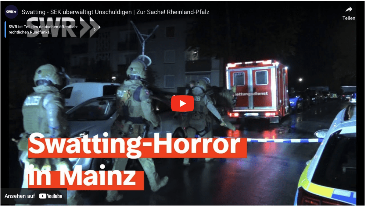 Swatting – SEK überwältigt Unschuldigen | Zur Sache! Rheinland-Pfalz