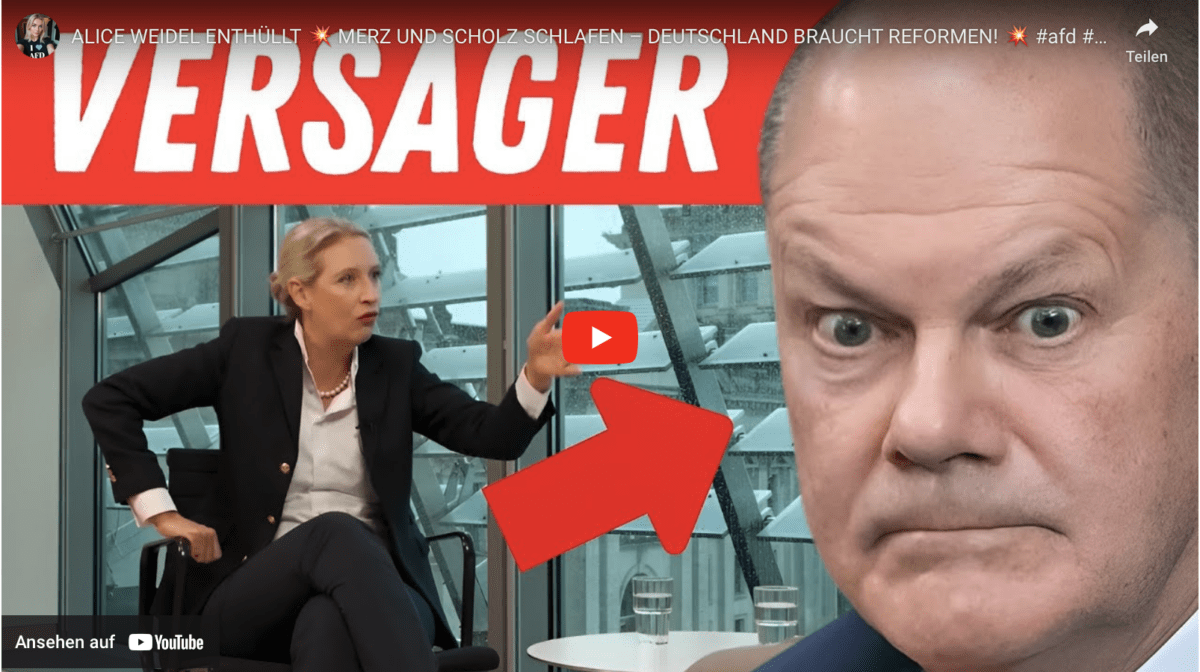 ALICE WEIDEL ENTHÜLLT  MERZ UND SCHOLZ SCHLAFEN – DEUTSCHLAND BRAUCHT REFORMEN!  #afd #politik