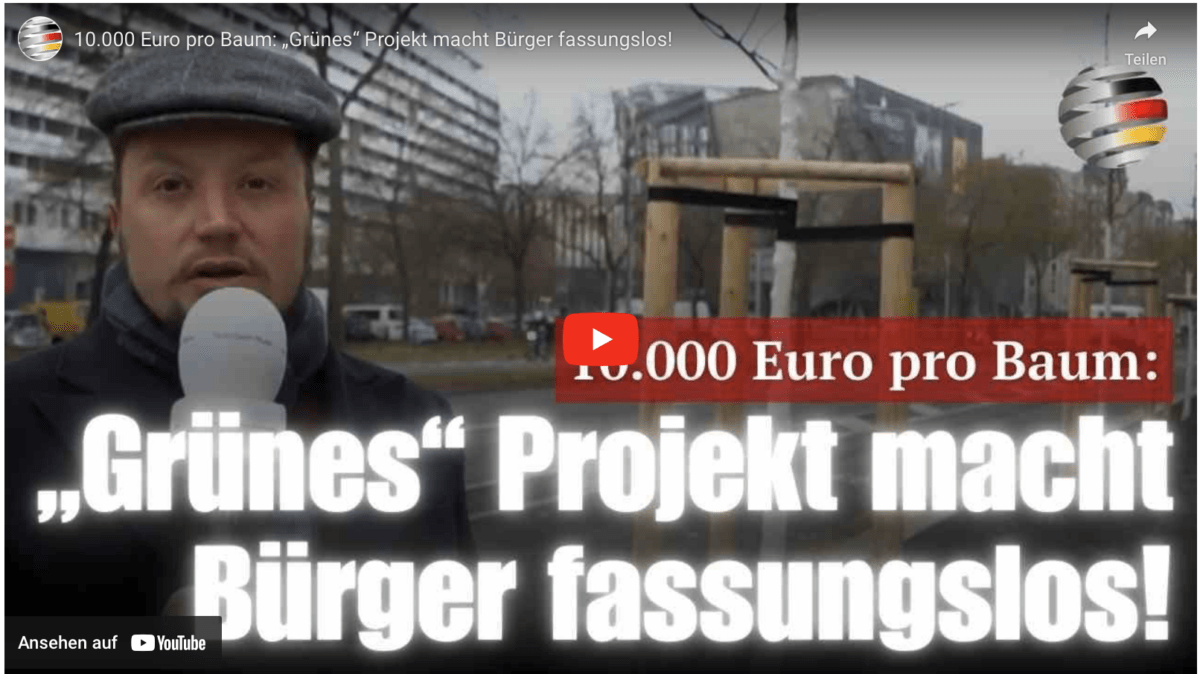 10.000 Euro pro Baum: „Grünes“ Projekt macht Bürger fassungslos!
