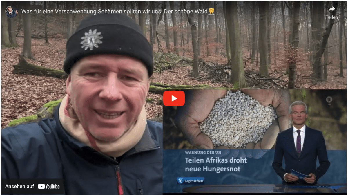 Was für eine Verschwendung.Schämen sollten wir uns. Der schöne Wald