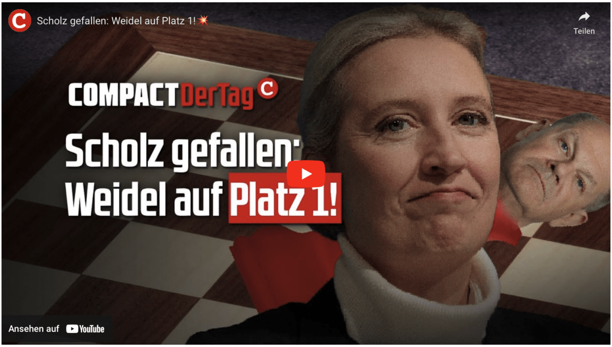 Scholz gefallen: Weidel auf Platz 1!