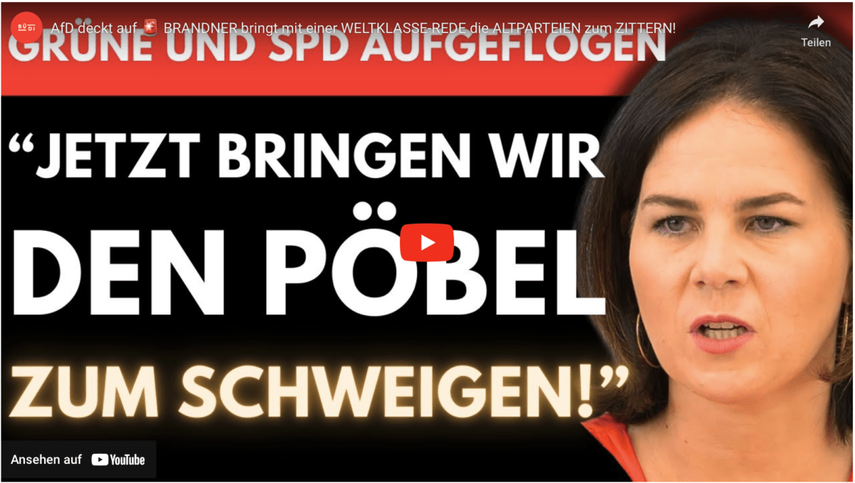 AfD deckt auf  BRANDNER bringt mit einer WELTKLASSE-REDE die ALTPARTEIEN zum ZITTERN!