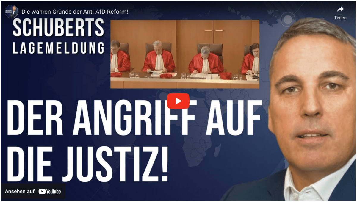 Die wahren Gründe der Anti-AfD-Reform!