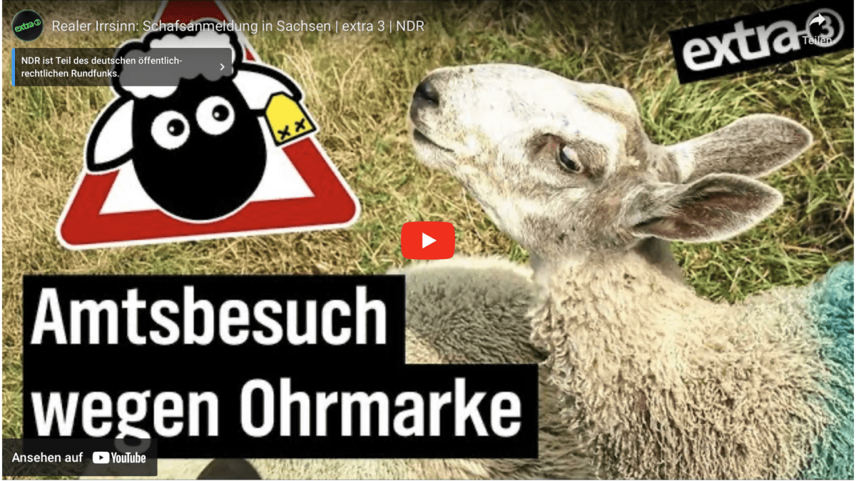 Realer Irrsinn: Schafsanmeldung in Sachsen | extra 3 | NDR