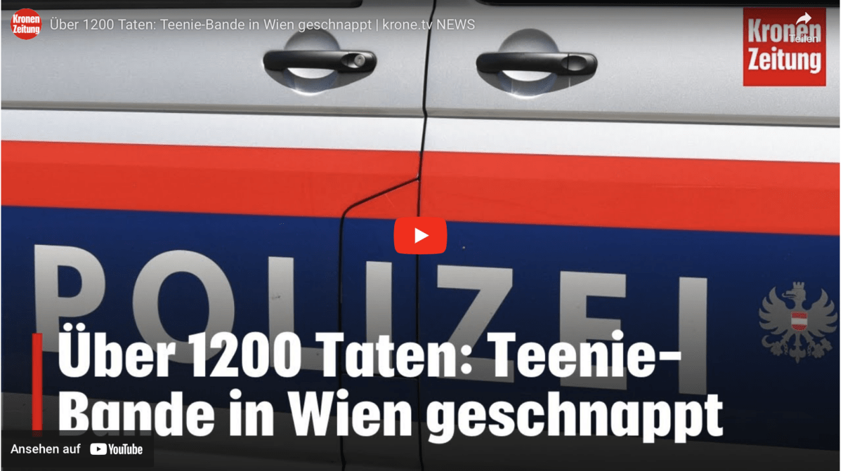 Über 1200 Taten: Teenie-Bande in Wien geschnappt | krone.tv NEWS