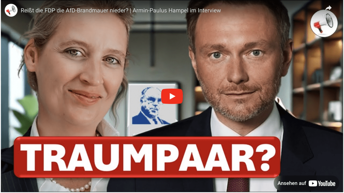 Reißt die FDP die AfD-Brandmauer nieder? | Armin-Paulus Hampel im Interview