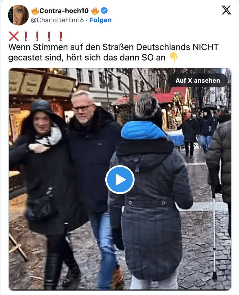 Terror und keine Ende in Sicht! Wenn Stimmen auf den Straßen Deutschlands NICHT gecastet sind, hört sich das dann SO an