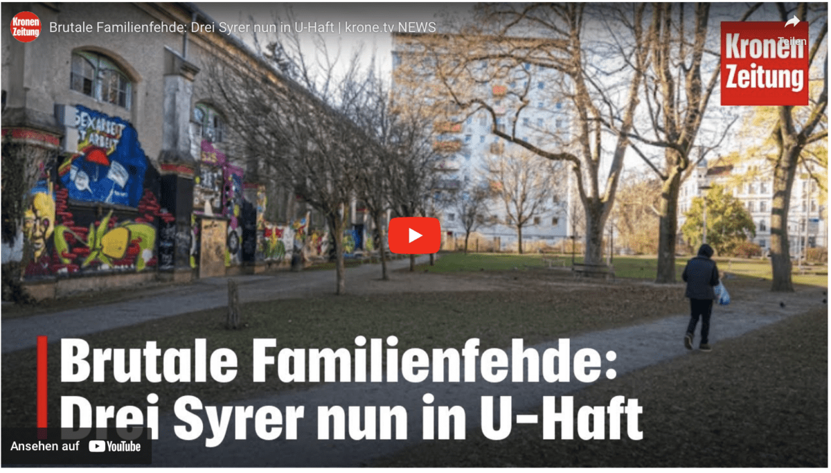 Brutale Familienfehde: Drei Syrer nun in U-Haft | krone.tv NEWS