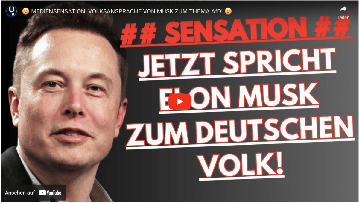 MEDIENSENSATION: VOLKSANSPRACHE VON MUSK ZUM THEMA AfD! 