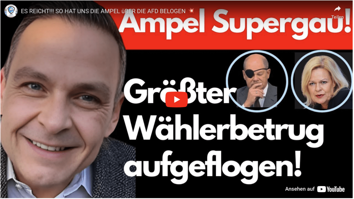 ES REICHT!!! SO HAT UNS DIE AMPEL üBER DIE AFD BELOGEN 