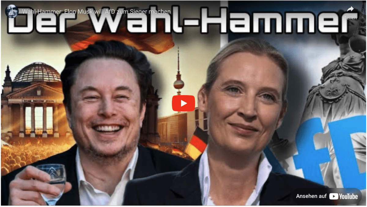 Wahl-Hammer: Elon Musk will AfD zum Sieger machen