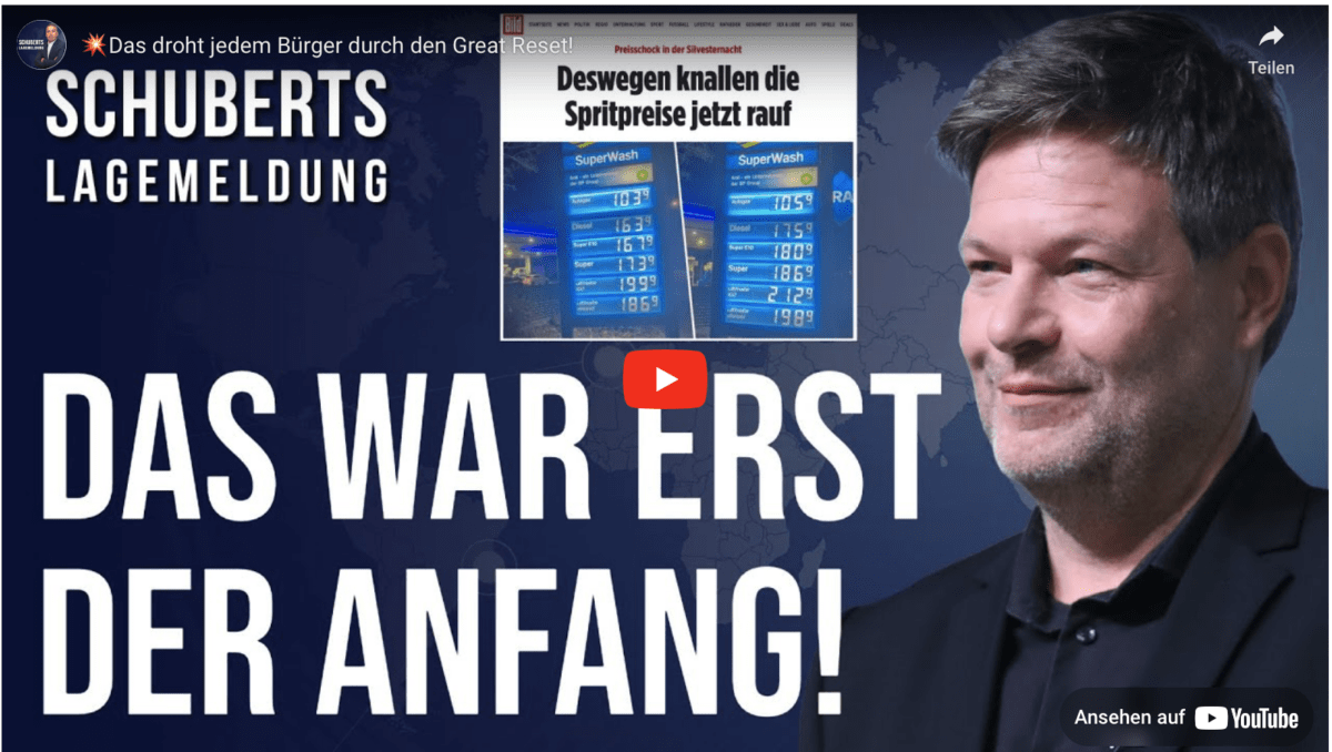 Das droht jedem Bürger durch den Great Reset!