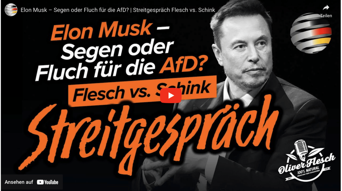 Elon Musk – Segen oder Fluch für die AfD? | Streitgespräch Flesch vs. Schink