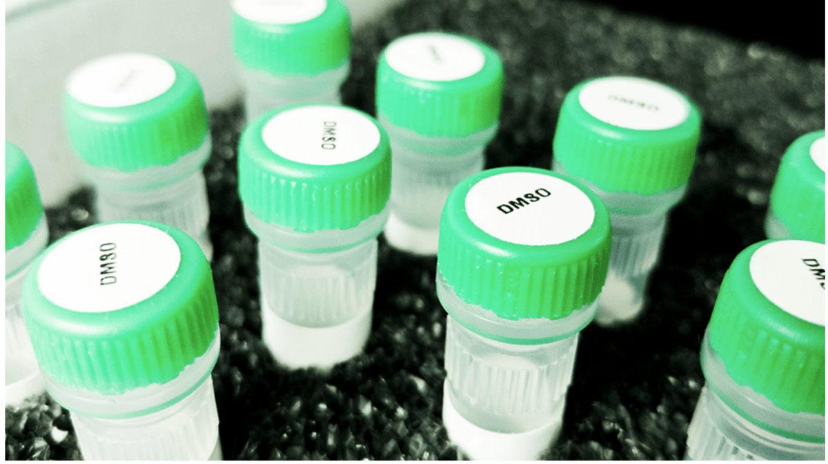 DMSO: Ein Wendepunkt bei der Behandlung von Infektionskrankheiten